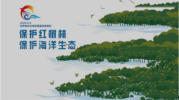 世界海洋日 立法保护红树林 修复典型海洋生态系统_生态保护修复_生态
