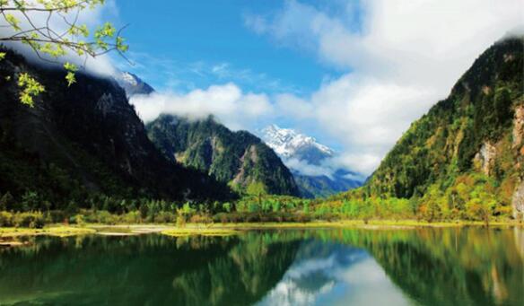 全面推动四川林业高质量发展