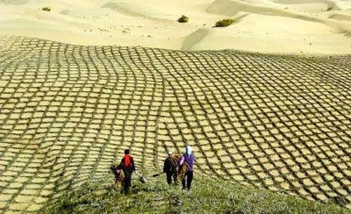 宁夏创造防沙治沙中国经验 以治沙促治穷