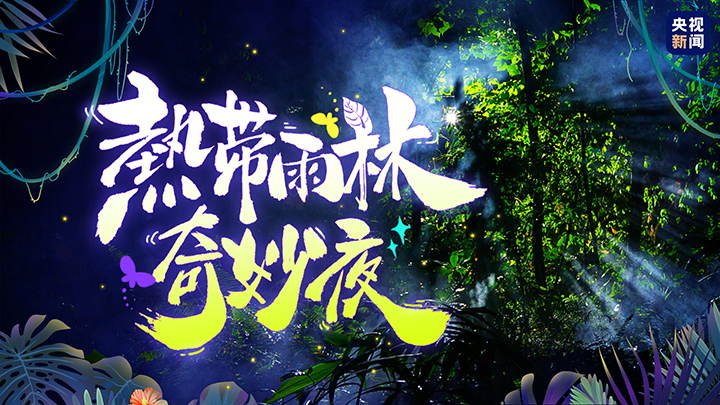 走！一起探秘国家公园｜嘘，雨林“春晚”即将开始……