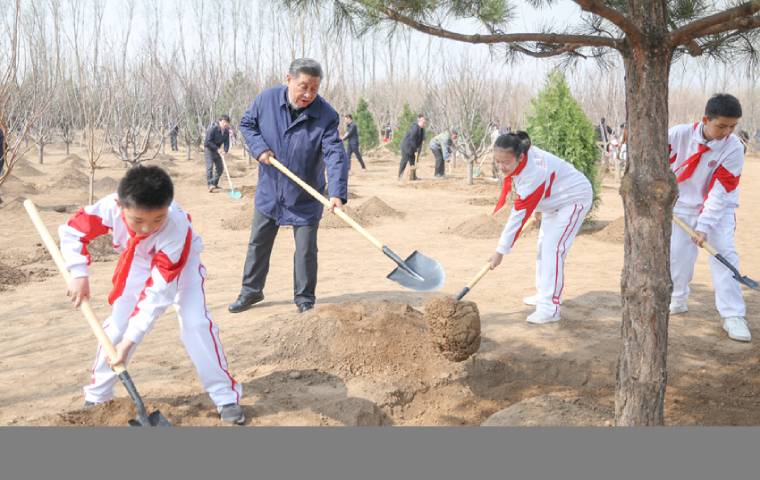 习近平在参加首都义务植树活动时强调：全民植树增绿 共建美丽中国