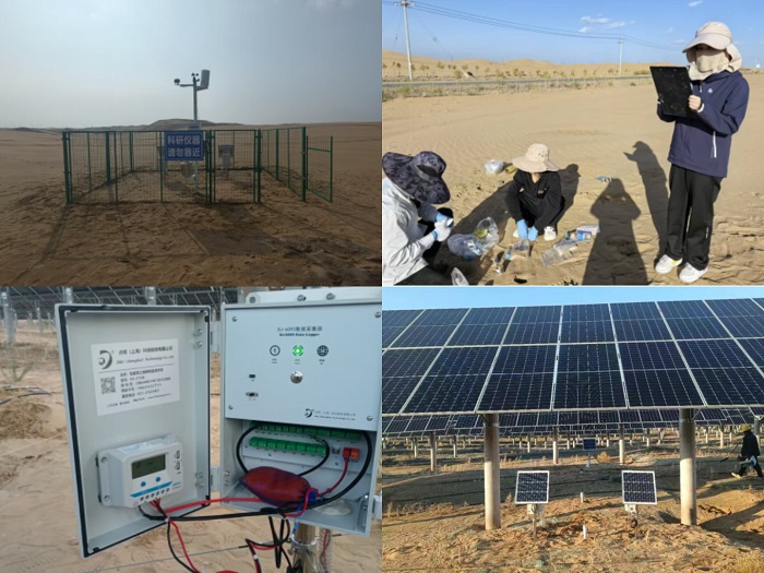 拼图-20251103031604.jpg 拼图-20251103031604.jpg