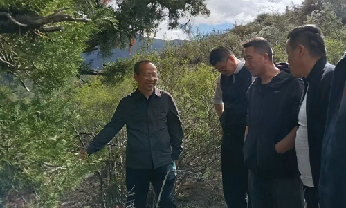 图片1.png 图片1.png