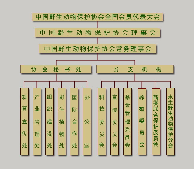 协会组织机构图