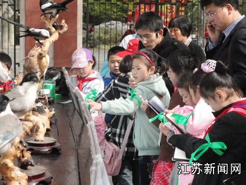 江苏29届爱鸟周将至 盐城绿丝带开展爱鸟宣