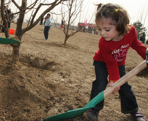 森林/这位来自希腊的小女孩也在认真地铲土种树。