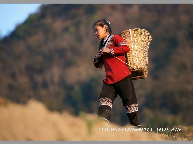 竹藤中心-唐天民《大山里的孩子