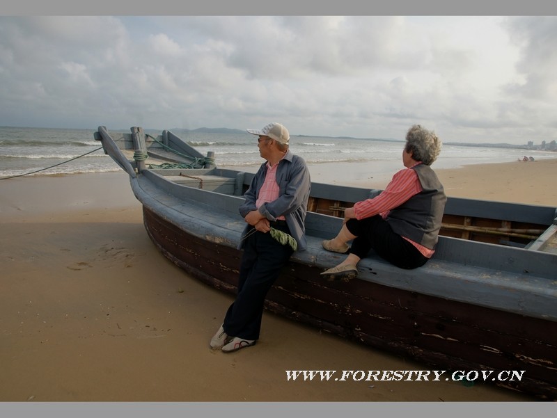 林干院-石昌发《老人与海》