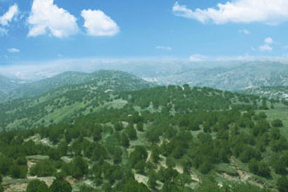 内蒙古准格尔旗天保工程封育区