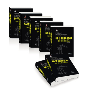 包子有肉不在褶儿上