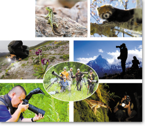 关于用影像保护生物多样性的本科论文范文