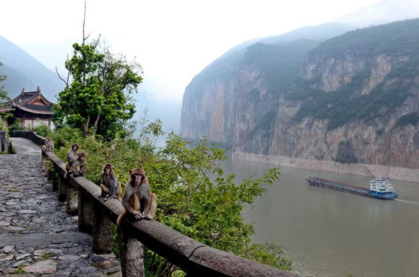 两岸猿声啼不住,轻舟已过万重山