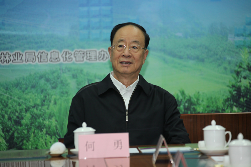 中共中央书记处书记、中央纪委副书记何勇听取