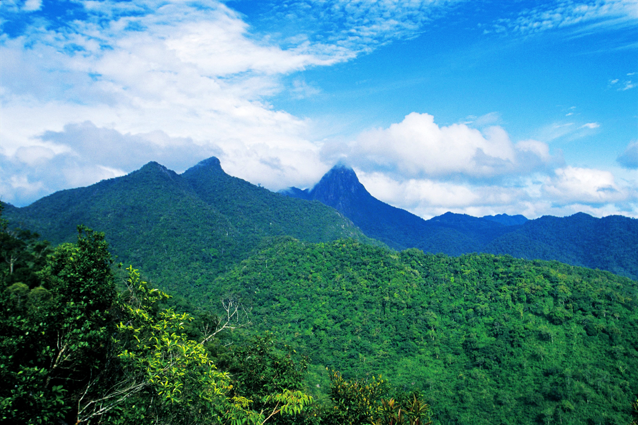 首届“美丽中国”征文大赛
