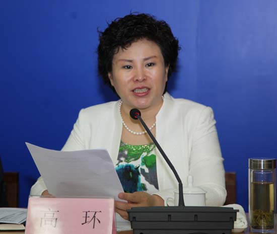 伊春市市长高环出席会议并讲话