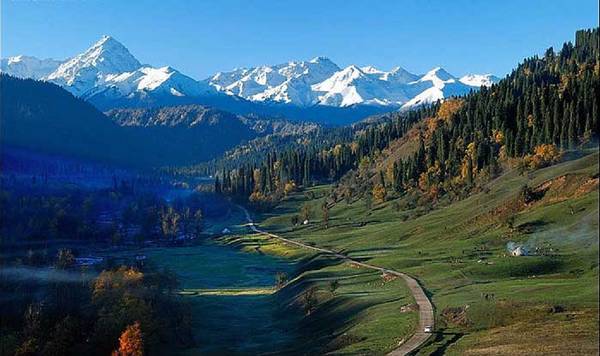 中国最美十大森林