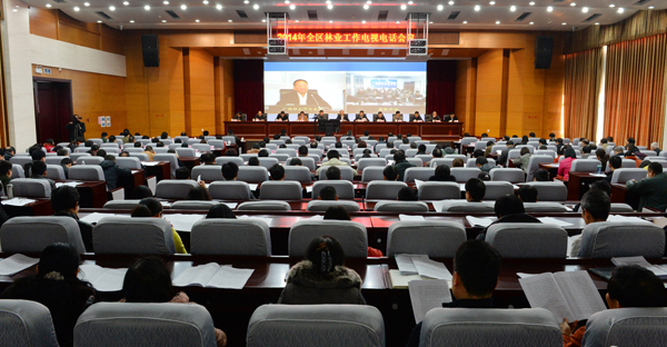 广西林业厅召开2014年全区林业工作电视电话会议