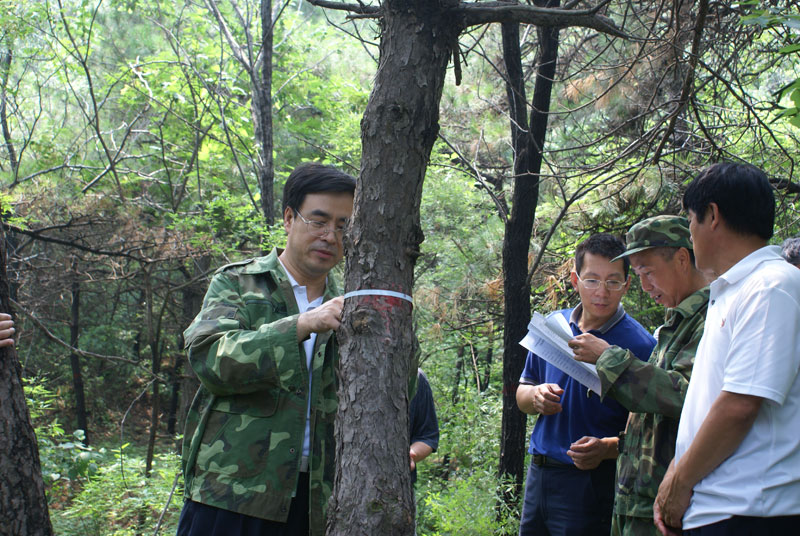 技术人员进行森林资源调查