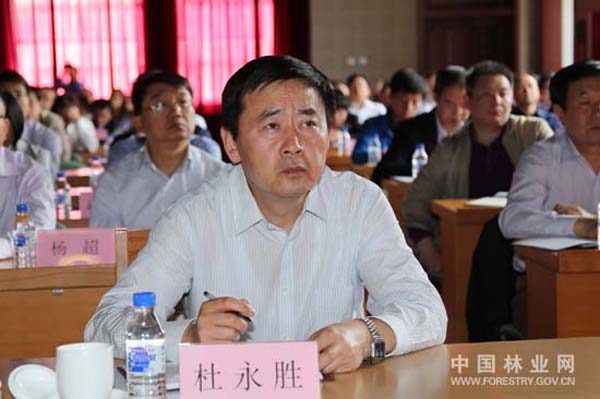 杜永胜出席国家林业局绿色大讲堂大数据时代