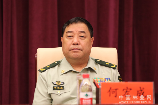 全国推进林业改革座谈会