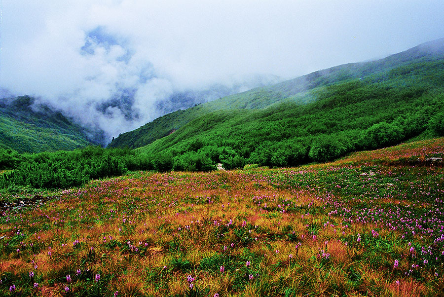 高黎贡山国家公园