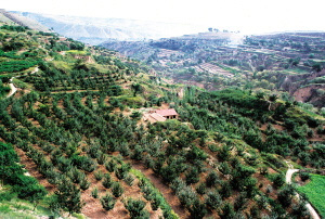 推进林业治理体系建设 增强工程建设发展动力