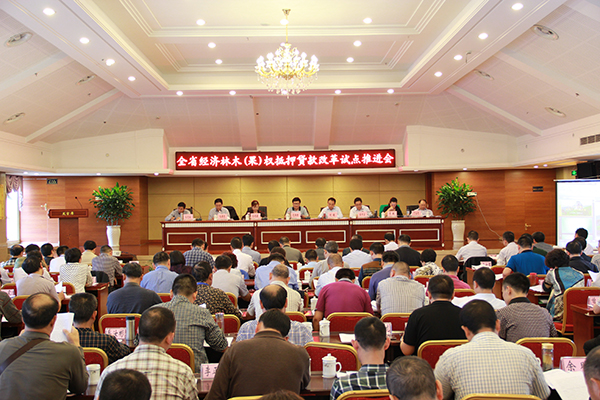 四川省经济林木(果)权抵押贷款改革试点推进会