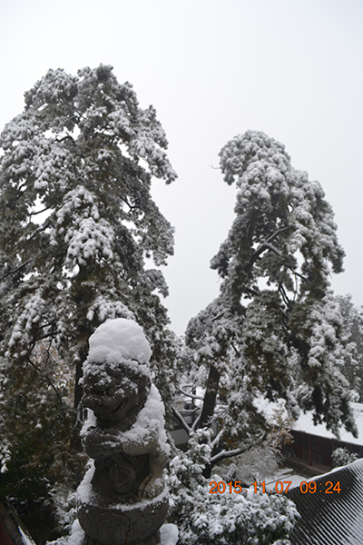 中国林业网-美丽中国大赛