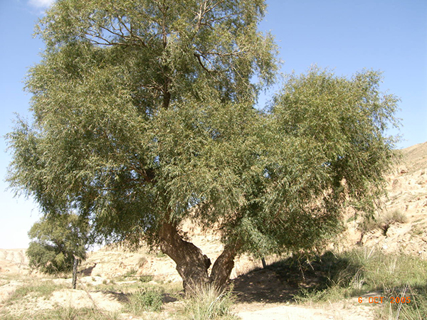 中国林业网-美丽中国大赛