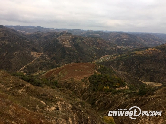 陕西省吴起县18年退耕还林造绿近250万亩 山