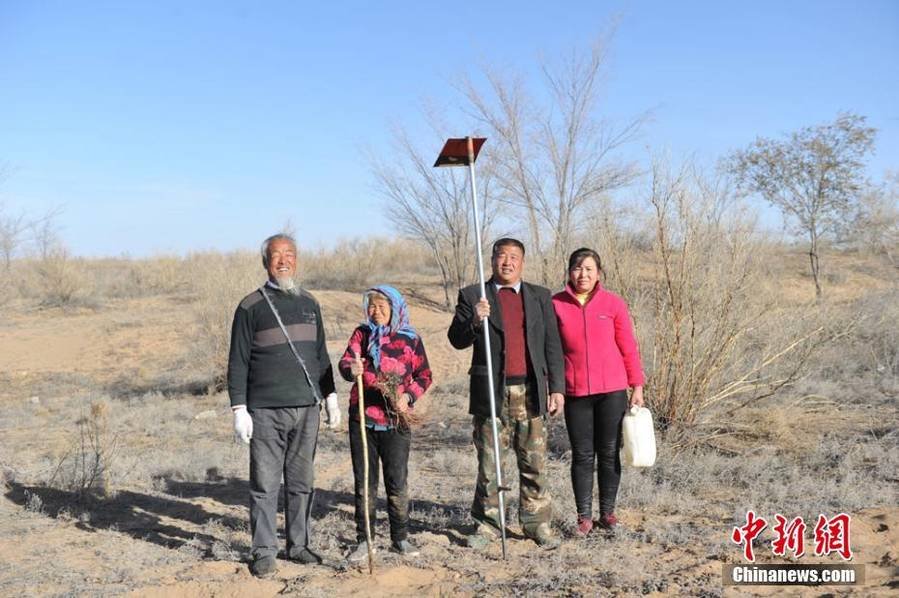 父子坚守沙漠三十余载 造林面积约680个足球场