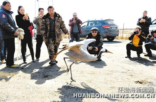 唐山市野生动物保护协会大清河盐场分会挂牌