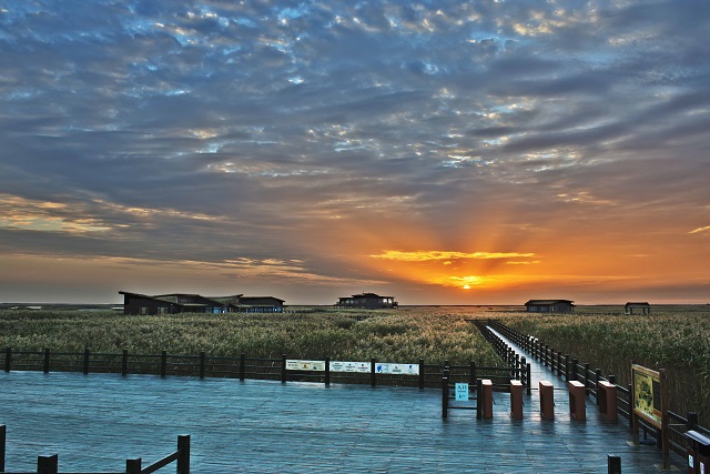 上海市崇明东滩鸟类科普教育基地荣登中国最