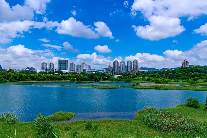 深圳市华侨城湿地升级为国家湿地公园(试点)