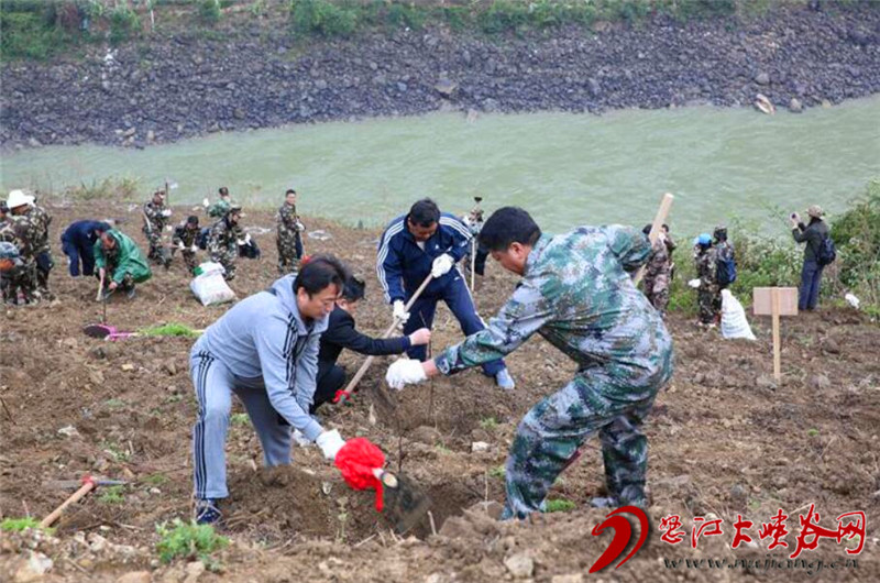 云南省泸水市新一轮退耕还林市级样板林建设掀