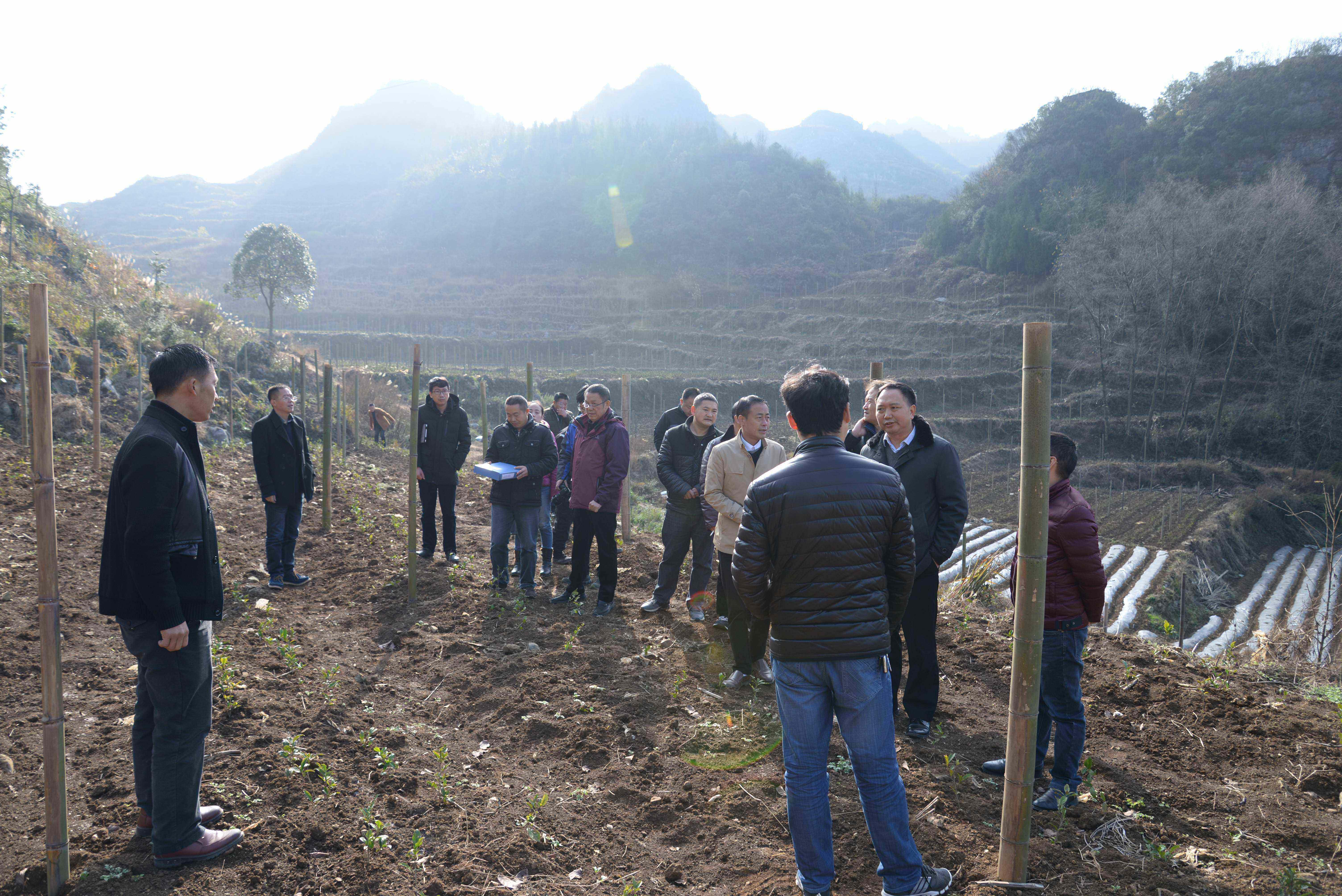 贵州省政府安排部署退耕还林专项督查工作