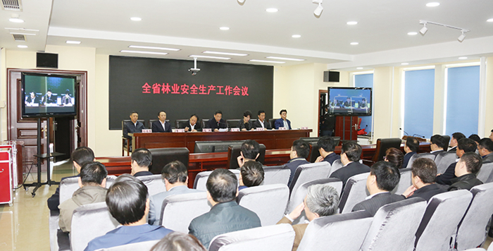 吉林省召开全省林业系统安全生产工作视频会议