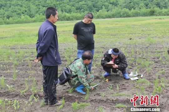 黑龙江小北湖保护区附近发现野生东北虎足迹