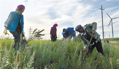 河北大力弘扬塞罕坝精神构筑京津生态屏障纪实