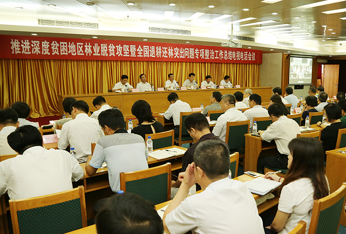 坚暨全国退耕还林突出问题专项整治工作总结电