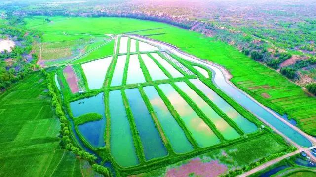 乌审旗农牧业经济总量_乌审旗地图(2)