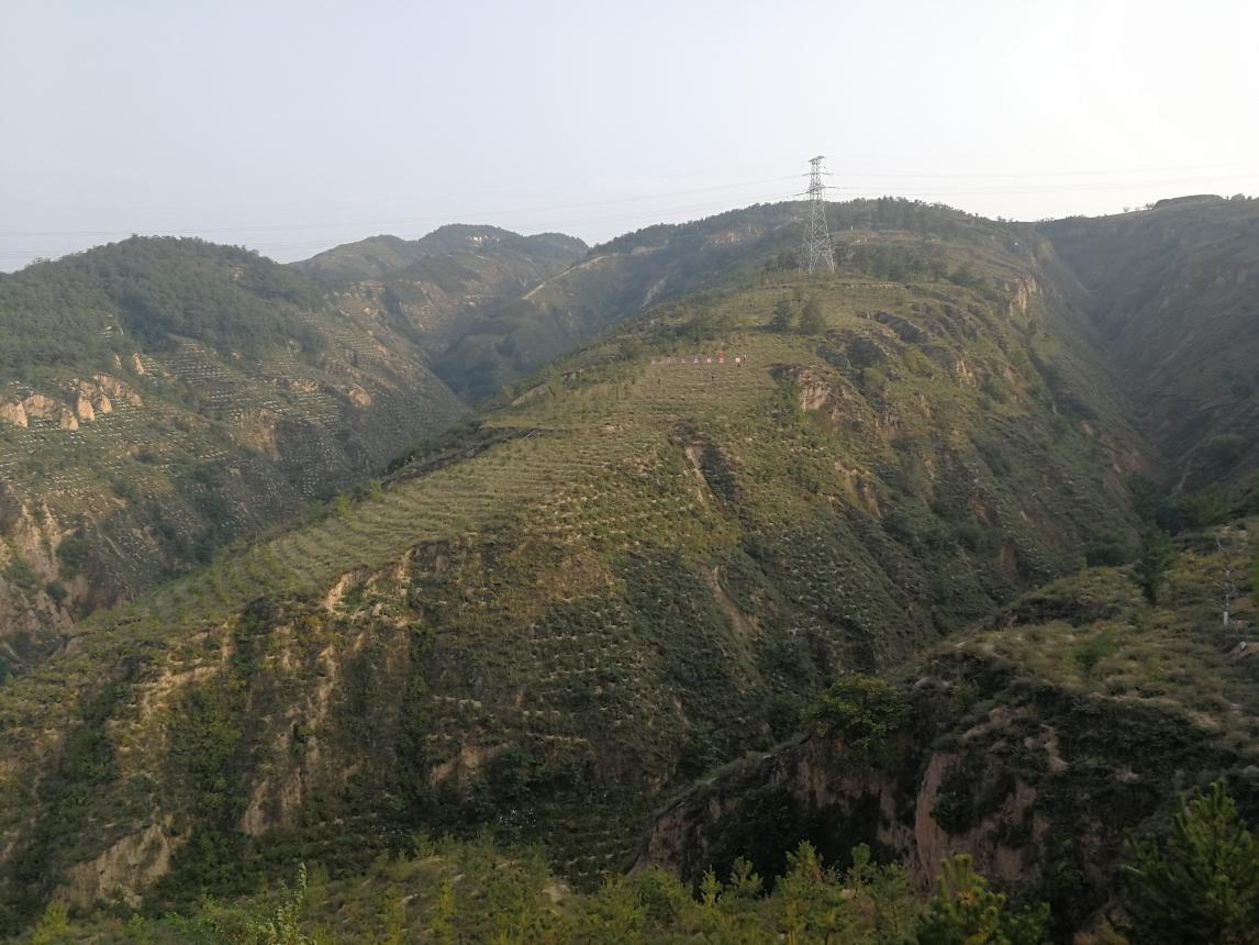 吕梁林县人口_吕梁地图