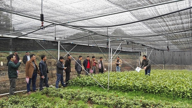 南省召开2016年利用农业综合开发林业项目资