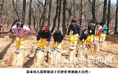 森林讲解员≠森林导游