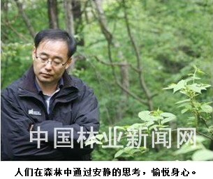 森林讲解员≠森林导游