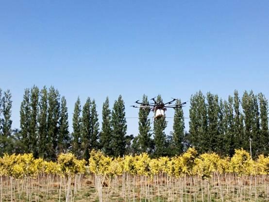 新疆生产建设兵团第九师162团利用无人机进行