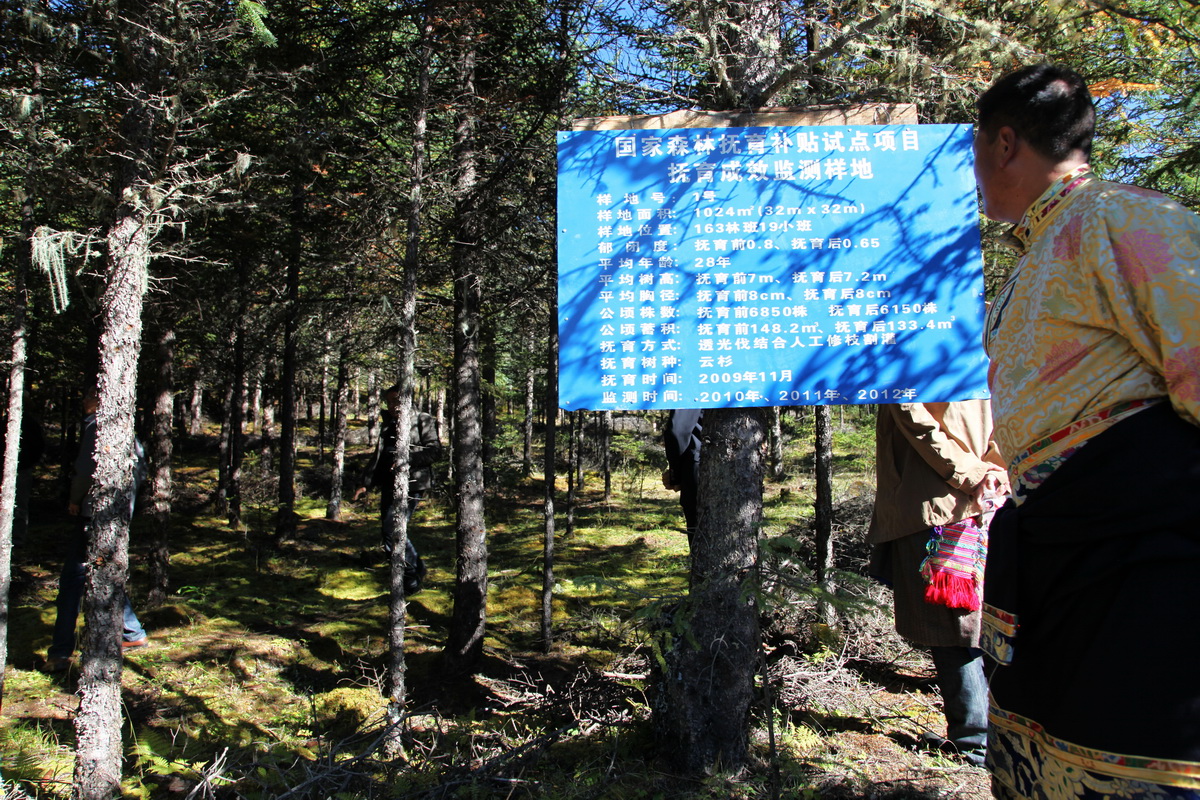 天保工程区公益林管护与森林抚育现场会3