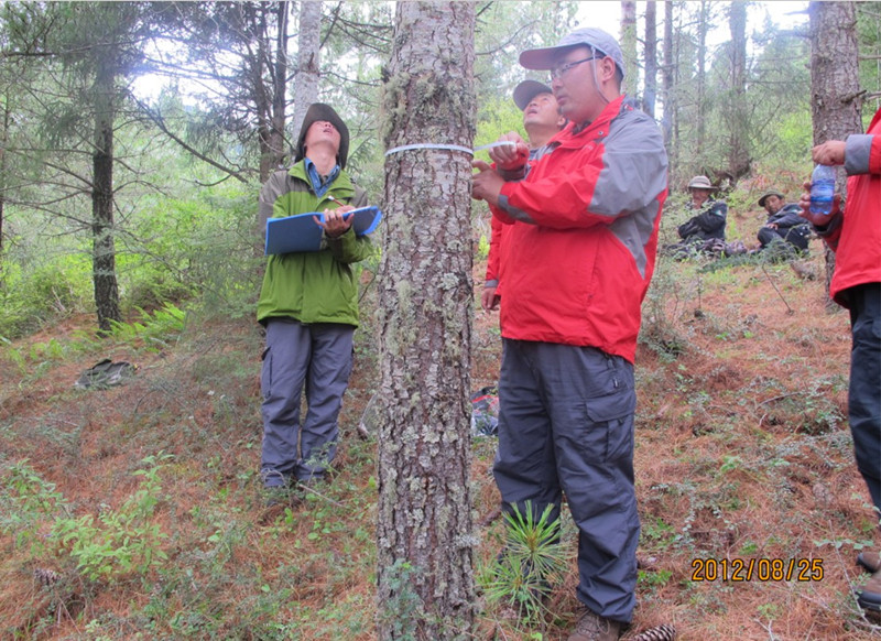 西藏山南地区洛扎县森林资源二类调查外业试