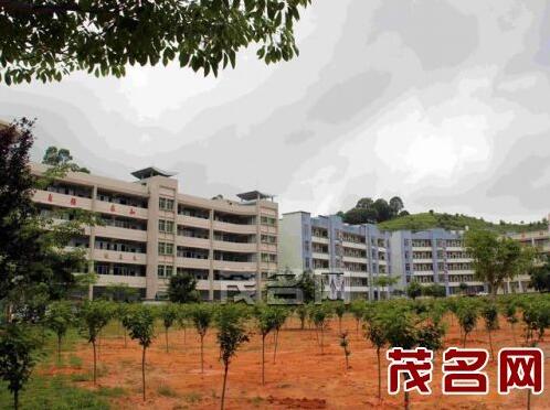 广东省信宜市教育系统校园植树绿化工程显成效