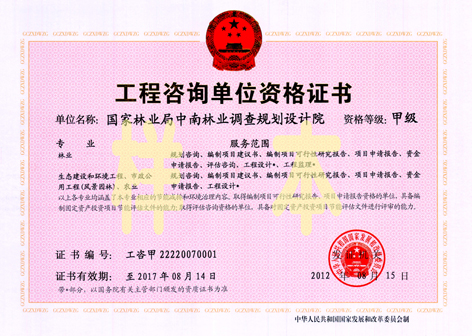 工程咨询证书